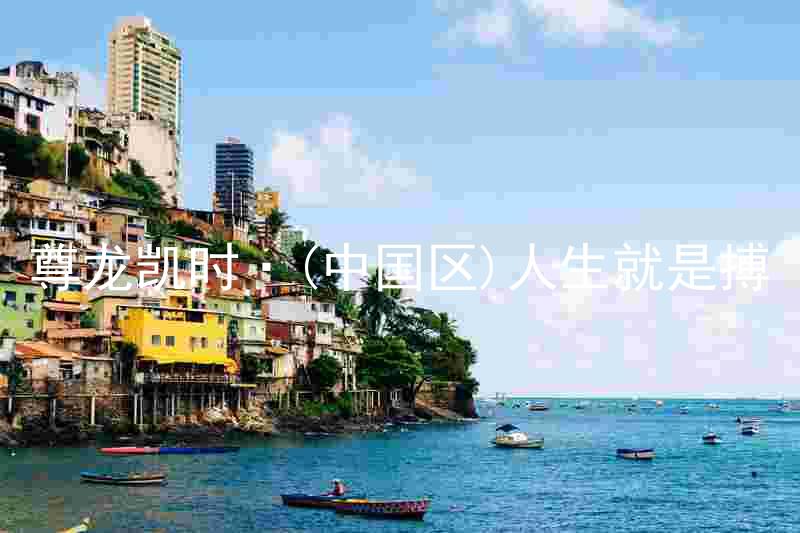 尊龙凯时·(中国区)人生就是搏